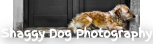 Reclining dog banner