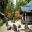 Japan, Koyasan, Kongōbu-ji Temple