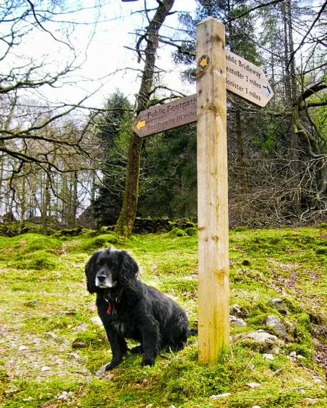 Cumbria, Lake District, Max, Grange