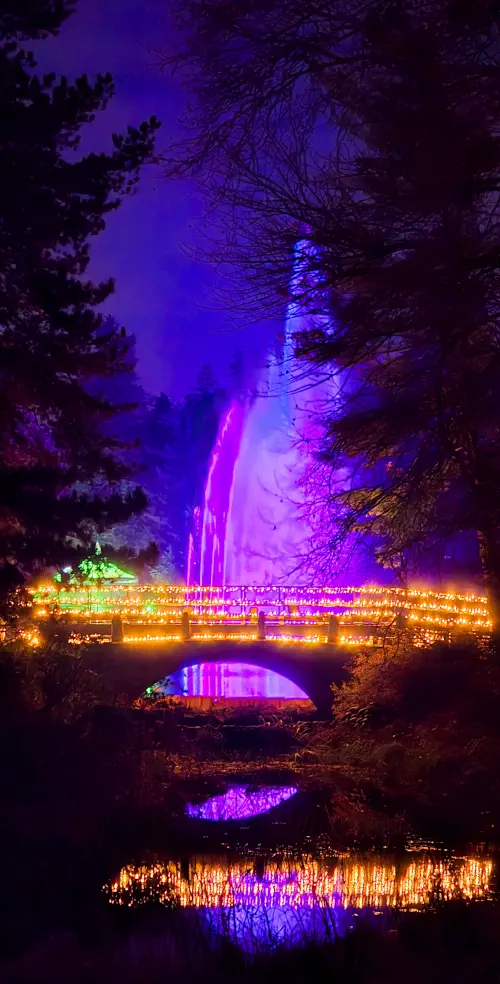 Germany, Berlin, Botanic Gardens at Christmas