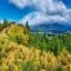 New Zealand, Hanmer Springs, Conical Hill