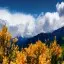 New Zealand, Hanmer Springs, Conical Hill