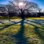 Yorkshire, Yorkshire Sculpture Park, Shadows