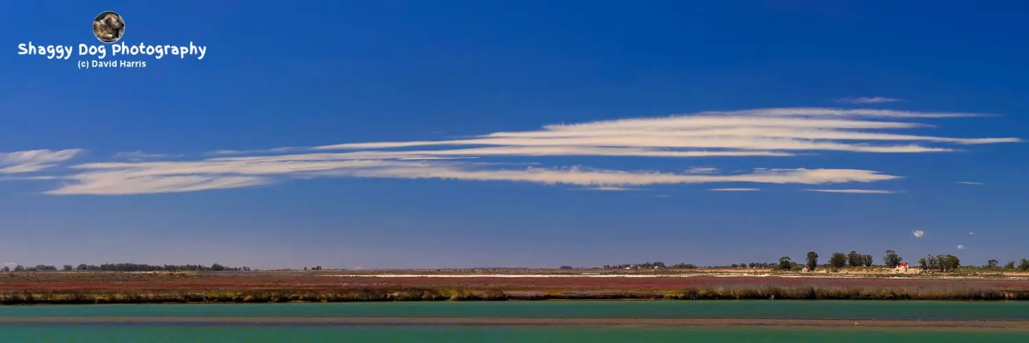 South Africa, Berg River Estuary