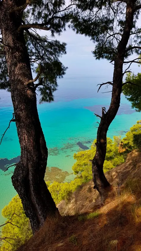 Greece, Halkidiki, Sani Resort