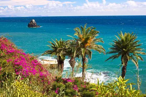 Portugal, Madeira, Coastal Path, Funchal