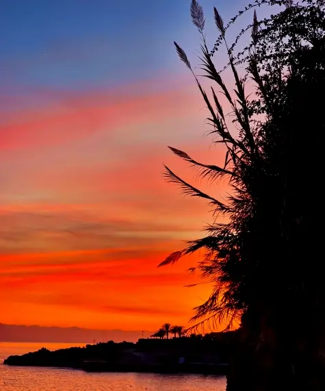 Portugal, Madeira, Sunset, Funchal