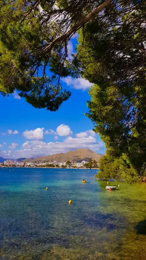 Spain, Majorca, Port de Pollenca