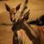 USA, California, Deer, San Diego Zoo