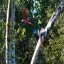 Costa Rica, Puntarenas, Scarlet Macaws