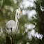 Japan, Tokyo, Heron, Shinjuku Gyoen National Garden