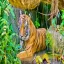 Singapore, Tiger, Singapore Zoo